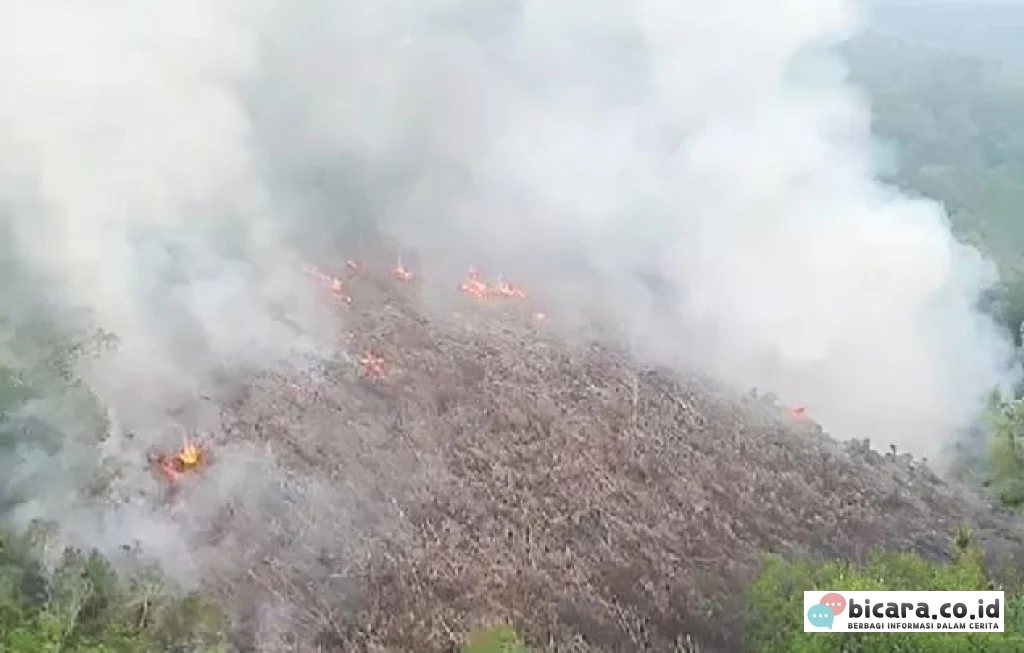 Kebakaran Hutan Kalbar