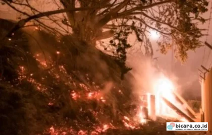 pembakaran lahan perusahaan