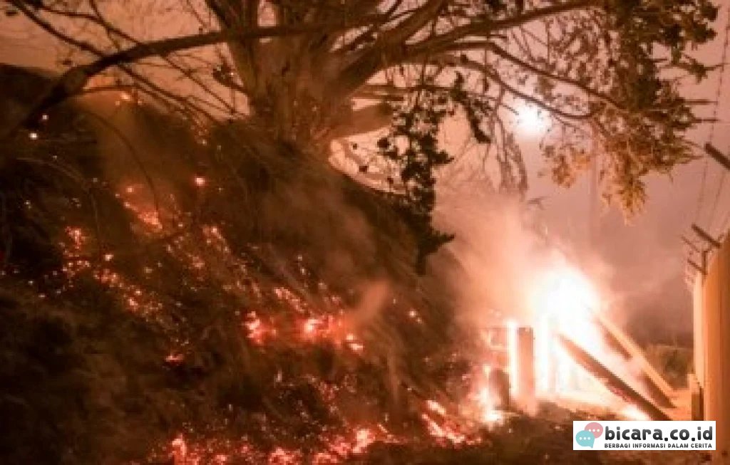 pembakaran lahan perusahaan