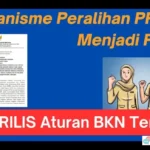 Peralihan PPPK ke PNS