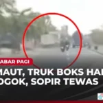 sopir truk boks