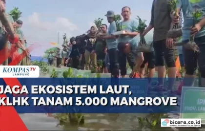 Tanam 5.000 Mangrove